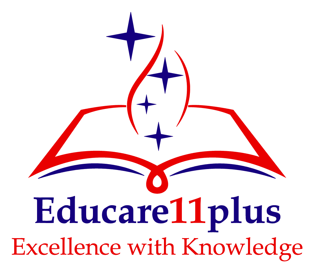 Educare11plus
